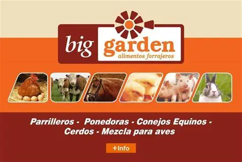 No se encontro la imagen..